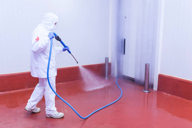 Best Concrete Sealing  in Rockvale, TN